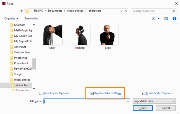 Place Dialog Box